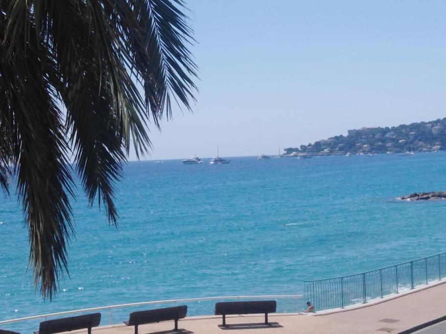 Bluemarine, Vista Mare Mentone